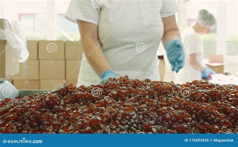 are worker at candy factory heaver than most